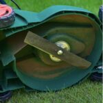 Stop Buying These at the Store: 6 Flours You Can Make at Home