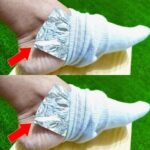 Put a Whole Roll of Toilet Paper in the Fridge (and Watch the Result)