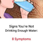 Soft Chocolate Crêpes: A Complete, In-Depth Guide to Perfectly Moelleux Chocolate Crêpes 🍫