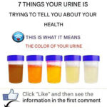 See This Object? If You Know It, You’re Officially Vintage