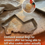 I’VE BEEN STORING TOMATOES THIS WAY FOR 10 YEARS — AND THEY STILL TASTE LIKE SUMMER