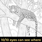 6 Unmistakable Signs a Loved One’s Spirit Is Near You