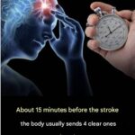 Just a Spoon and the Dried Orchid Fills the Pot With New, Green Roots