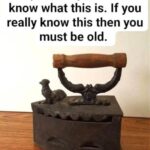 Most People Don’t Realize How Powerful Touching a Tree While Barefoot Can Be