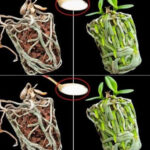 Environ 15 minutes avant un AVC, le corps envoie souvent 4 signaux distincts : comprendre ces alertes silencieuses peut sauver une vie