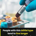 McDonald’s McCafé Coffee Machines: The “Dirty Secret” Explained Without Hype, Panic, or Myths