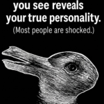 Not Everyone Can See the Fish