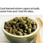 The Whole Internet Couldn’t Identify It…