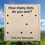 Would You Eat Sliced Tomato With Just Salt and Pepper?