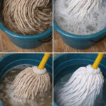 The Whole Internet Couldn’t Identify It…