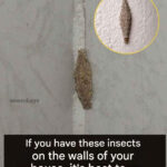 Doctors Reveal That Eating Boiled Eggs in the Morning Causes Powerful Changes in Your Body: The Science Behind This Simple Habit