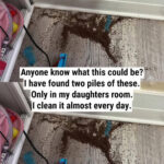 Pension Increases: The 2025–2026 Timetable You Need to Know