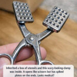 The $85,000 Penny: How an Ordinary Coin Can Become a Hidden Fortune