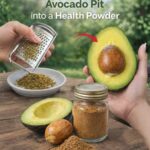 The Mysterious Spiked Clamp in Your Inherited Utensil Box: Not Medical, Not Torture — But a Forgotten Kitchen Tool With a Surprisingly Practical Past