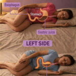 Rethinking the Lawn: Ten Spreading Ground Covers That Replace High-Maintenance Grass with Beauty, Biodiversity, and Year-Round Interest