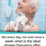 Which Animal Did You See First? The Fascinating Psychology Behind Visual Personality Tests