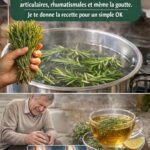 Crispy Vegetable Bites with Creamy Cucumber Sauce: A Complete Guide to a Light, Flavorful, and Nourishing Dish