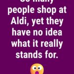 Propagating Hydrangeas: The Complete, In-Depth Guide to Turning Simple Cuttings into Blooming Shrubs 🌿