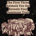 The DIY Miracle Cleaner That Actually Works: A Deep, Practical Guide to Removing Grease from Cabinets and Countertops Without Stress or Harsh Chemicals