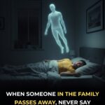 They Prefer to Be Alone Rather Than in Bad Company: The 5 “Loneliest” Zodiac Signs and the Psychology of Choosing Solitude Over Superficial Connections