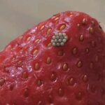 The One Household Chore You’d Avoid: What It Secretly Reveals About Your Personality, Emotions, and Inner Patterns