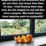 Rose Water: A Natural, Soothing, and Delicately Fragrant Elixir for Skin, Mind, and Daily Life