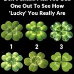 The Double Life: Betrayal, Power, and the Silent Reclamation of Control