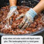 Pour Concrete Into Crumpled Aluminum Foil and Create Stunning Designer Stepping Stones That Look Like Modern Garden Art